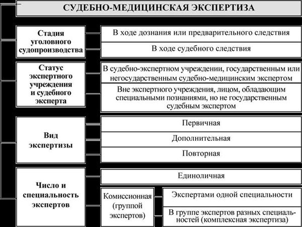 Криминалистическая экспертиза в уголовном процессе