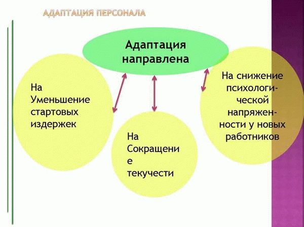 Что такое адаптация и почему она важна для компании?