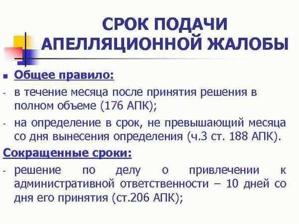 Апелляционная жалоба на решение суда в 2024 году