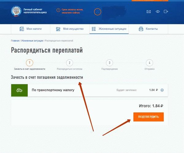Что делать, если переплатили налог: перезачет или возврат на счет