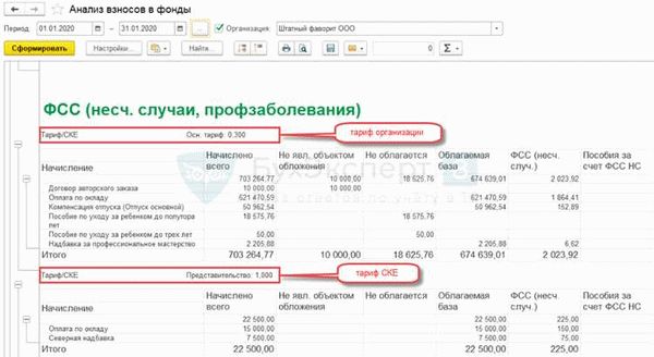 Роль ФСС НС и ПЗ в системе социального обеспечения