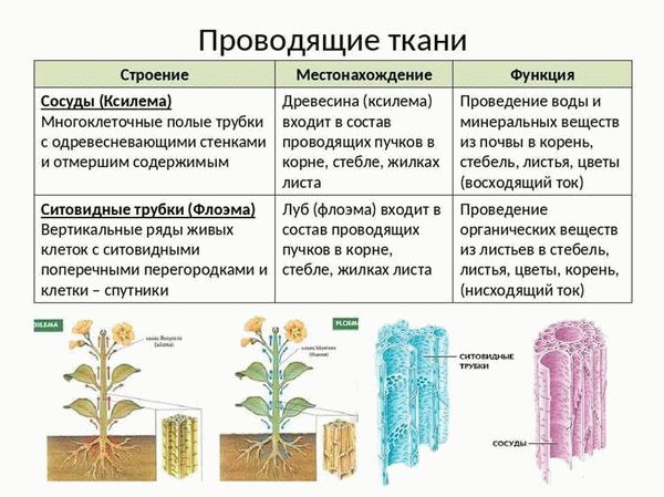 Особенности планировки и интерьера