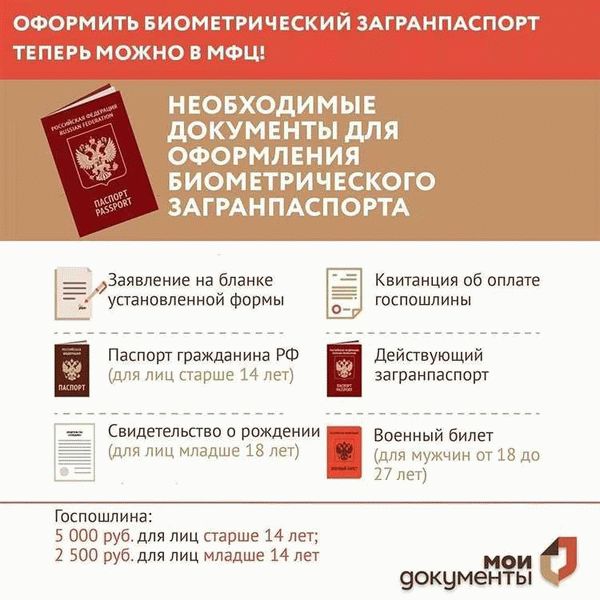 Документы для оформления загранпаспорта для детей в 2024 году