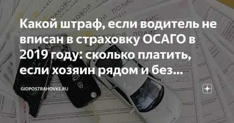 Виды страховок и зачем в них вписывают водителей