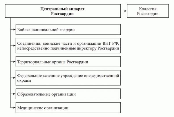 Режим службы и социальные гарантии для сотрудников войск национальной гвардии РФ
