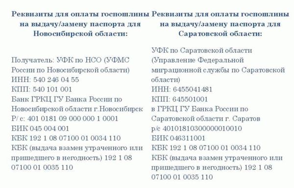 Когда могут отказать в выдаче нового документа