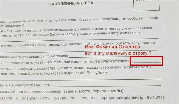 Можно ли в российском паспорте указать национальность?