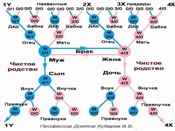 Как называть родственников со стороны мужа