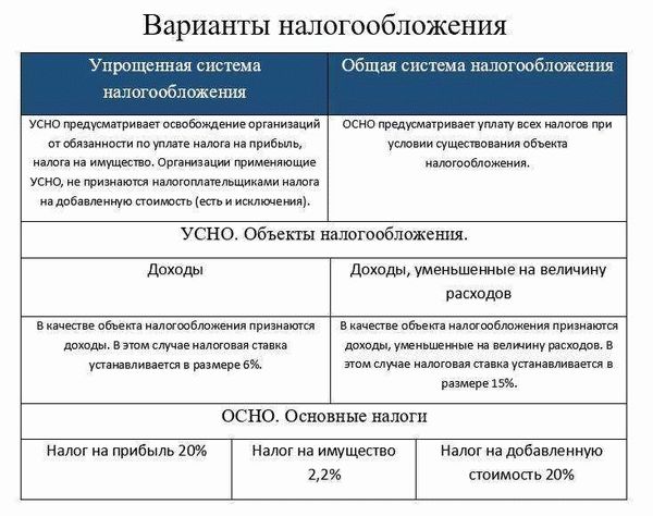 Аудит налоговой отчетности