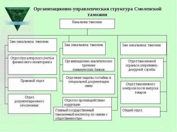 Образование в сфере таможни