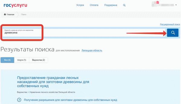 Как получить лес от государства бесплатно