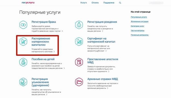 Роха через госуслуги. Как заполнять заявление на материнский капитал образец на госуслугах. Госуслуги мат капитал. Материнский капитал с госуслуг. Как подать заявление на госуслугах.
