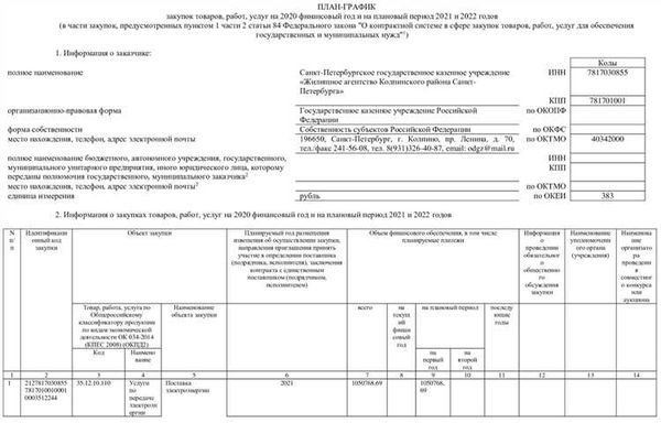 Как заполнить план закупок на год 2024 по 44-ФЗ: пошаговая инструкция