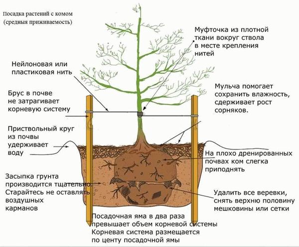 Помощь от органов и получение разрешения