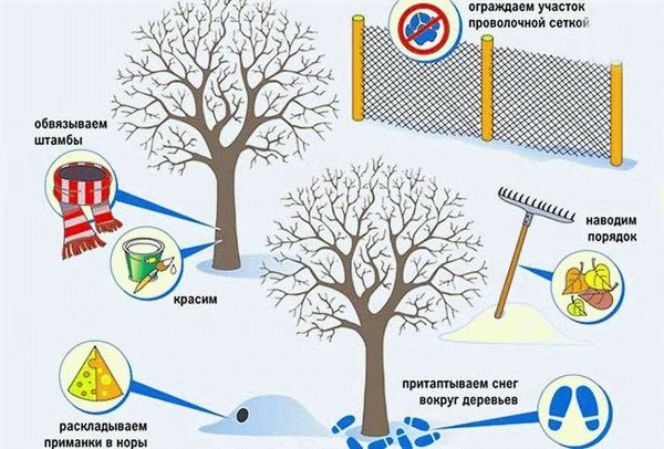 Высаживание растительности своими силами