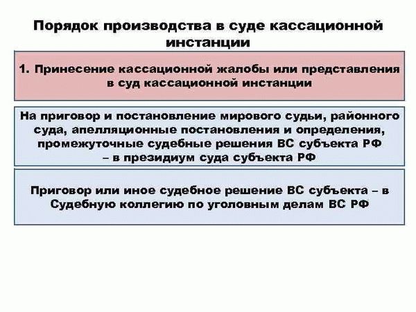 Содержание вводной части кассационной жалобы