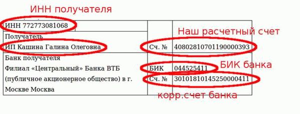 Реквизиты счета и их значимость в финансовых операциях