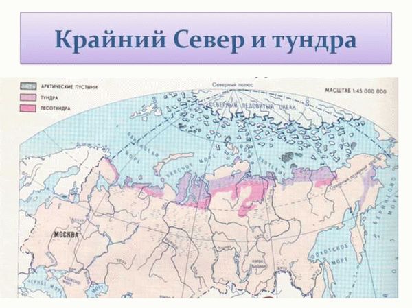 Новый перечень районов Крайнего Севера и местностей, приравненных к районам Крайнего Севера