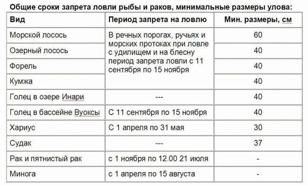 Нерестовый запрет 2024: подробности