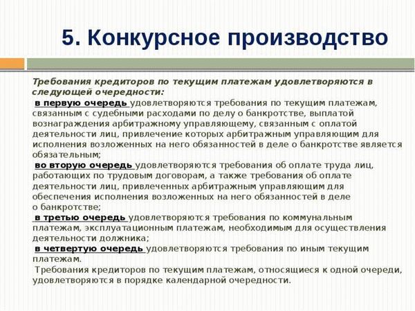 Выводы и рекомендации конкурсного управляющего по дальнейшему развитию дела