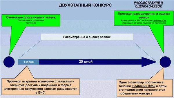 Как рассмотреть первые части заявок по открытому конкурсу согласно 44-ФЗ: инструкция для участия