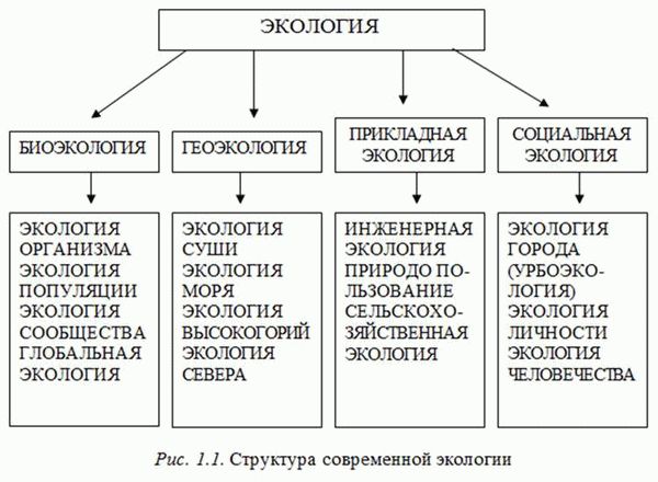 Загрязнение земельных ресурсов