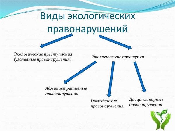 Как сохранить природную чистоту и предотвратить загрязнение природы?