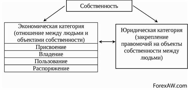 Интеллектуальная собственность и ее значение