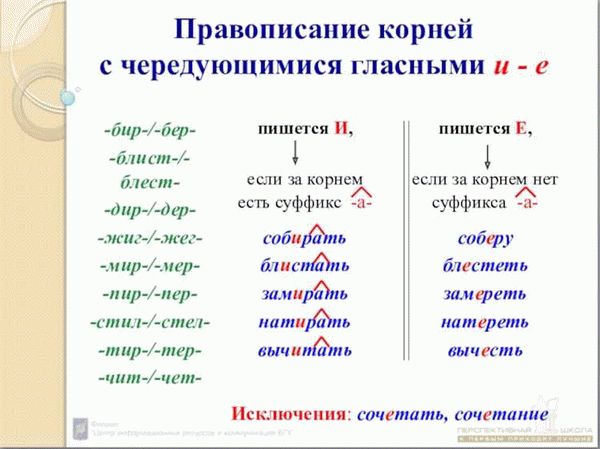 Гласные могут делиться на два типа: