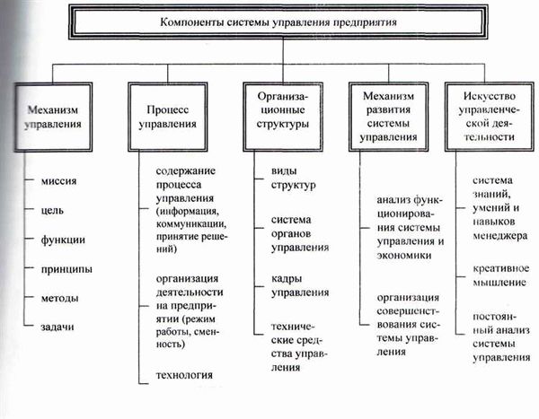 Цели и принципы внешнего управления