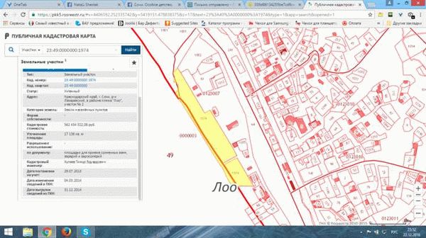 Поиск земельного участка на ПКК Оренбургской области