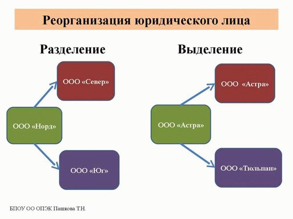 Разделение юридического лица