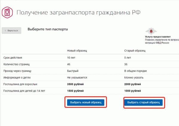 Альтернативные сервисы для оформления загранпаспорта онлайн