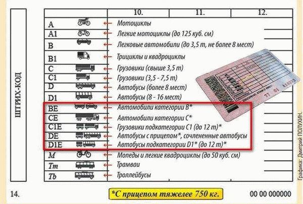 Факторы, влияющие на стоимость обучения на права