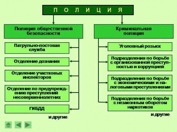 Структура и организация полиции