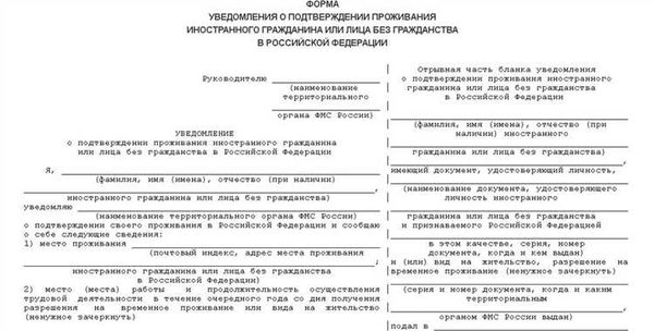 Предпринимательство в Турции