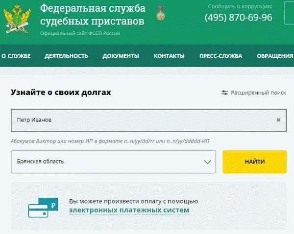 Возможности системы поиска информации о должнике