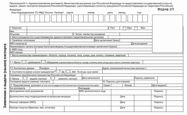 Правила заполнения паспортных данных гражданина РФ